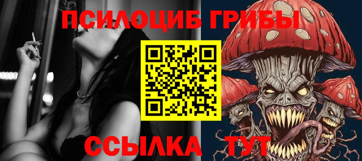 купить наркотики сайты  Вход с VPN  Ачинск  Псилоцибиновые грибы Cubensis 